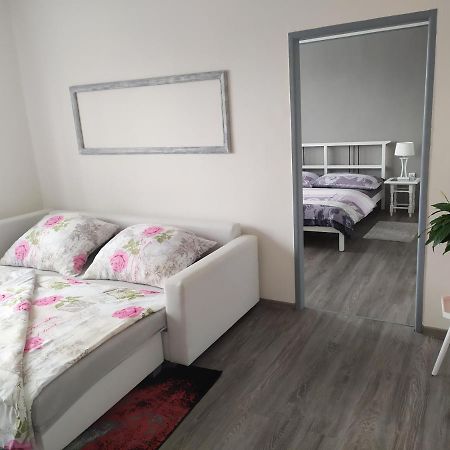 Byt Puskinova Appartamento Hradec Králové Esterno foto