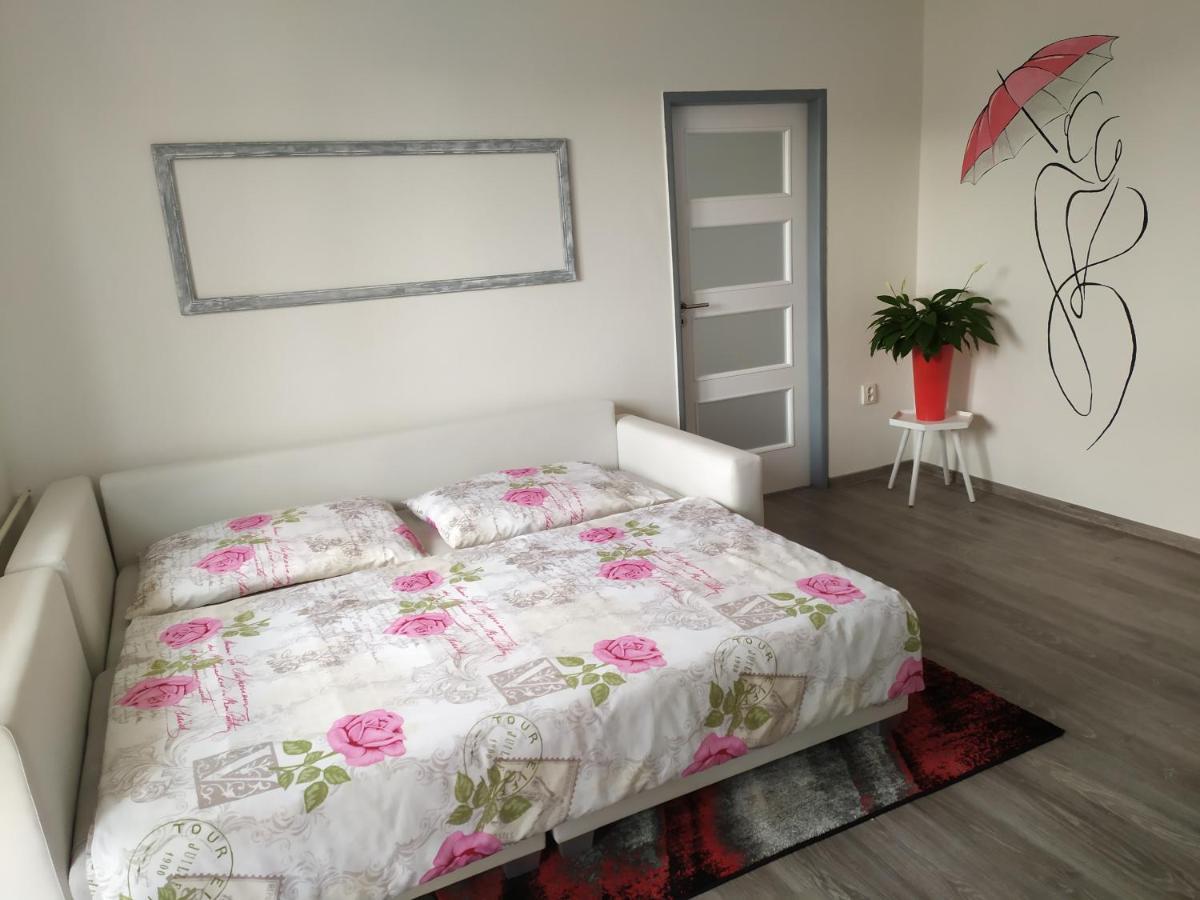 Byt Puskinova Appartamento Hradec Králové Esterno foto