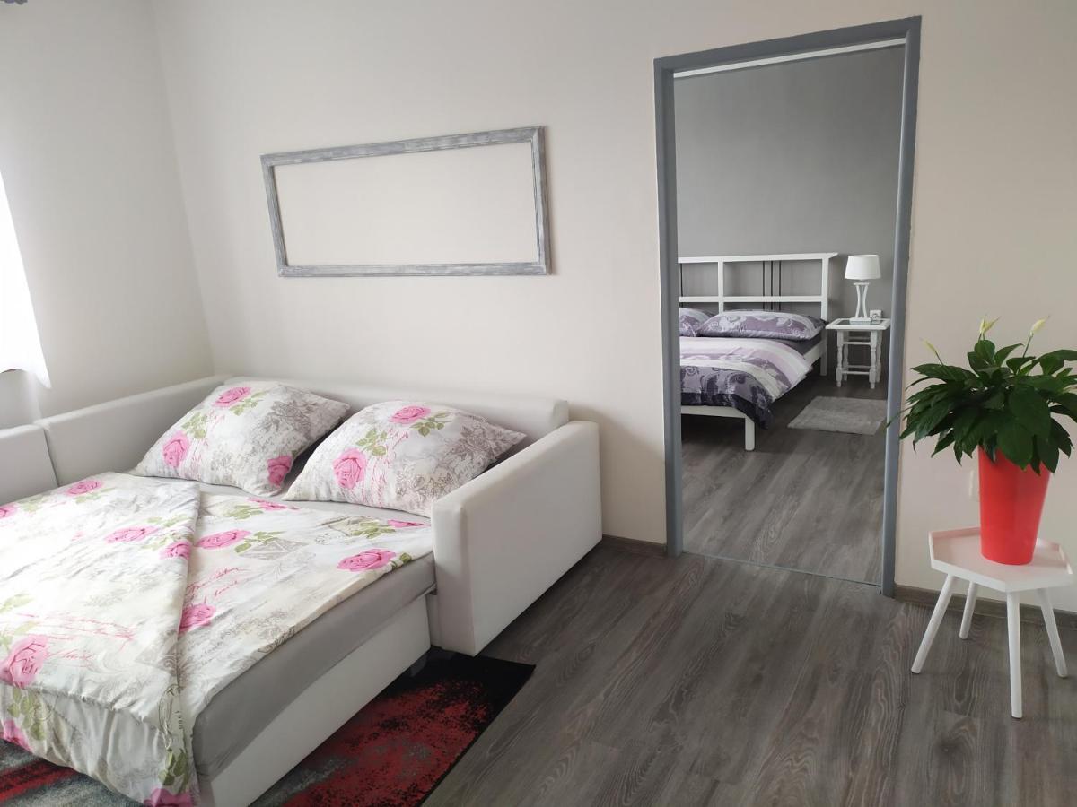 Byt Puskinova Appartamento Hradec Králové Esterno foto